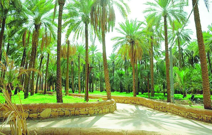 مسح أراضي زراعية